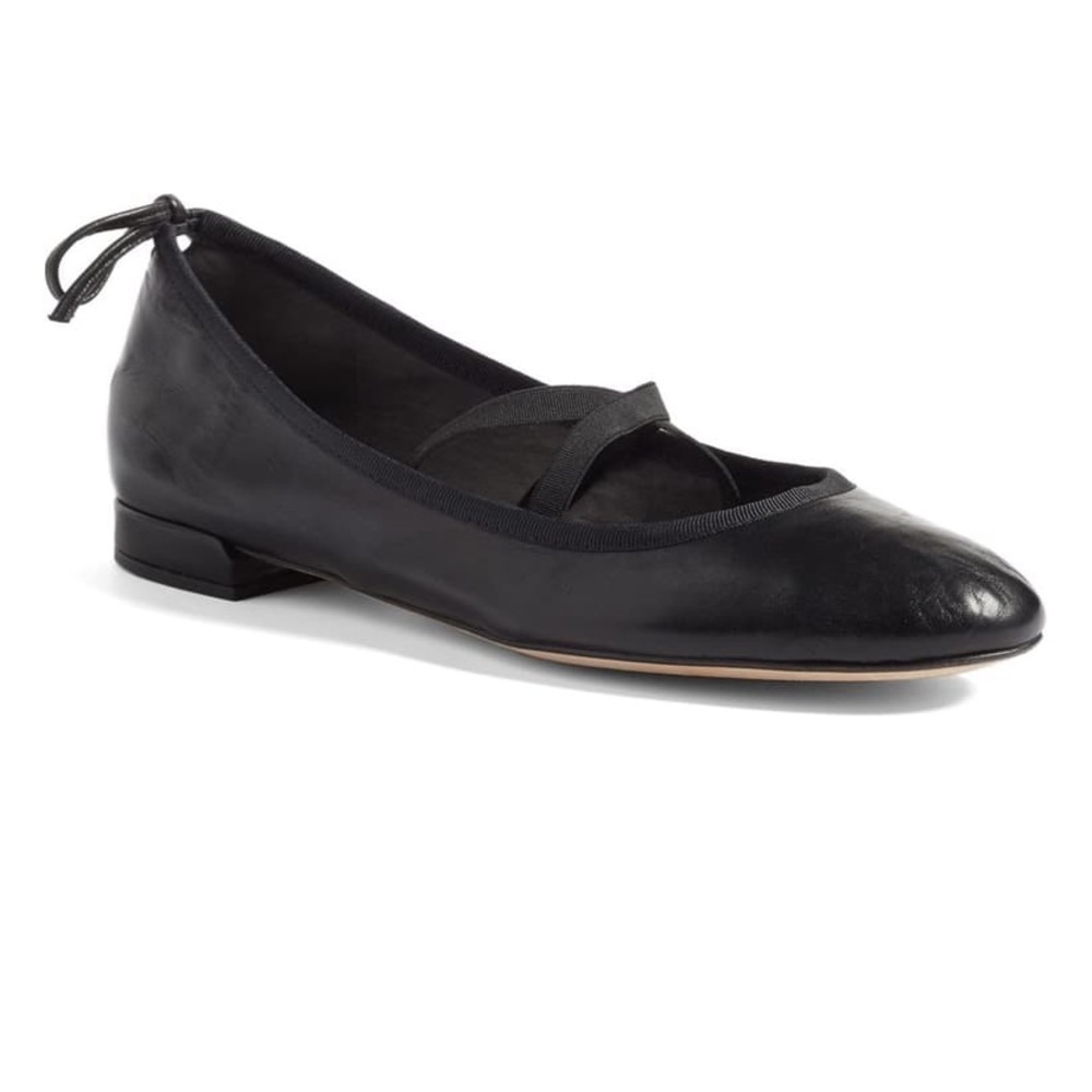 Stuart Weitzman Bolshoi flats